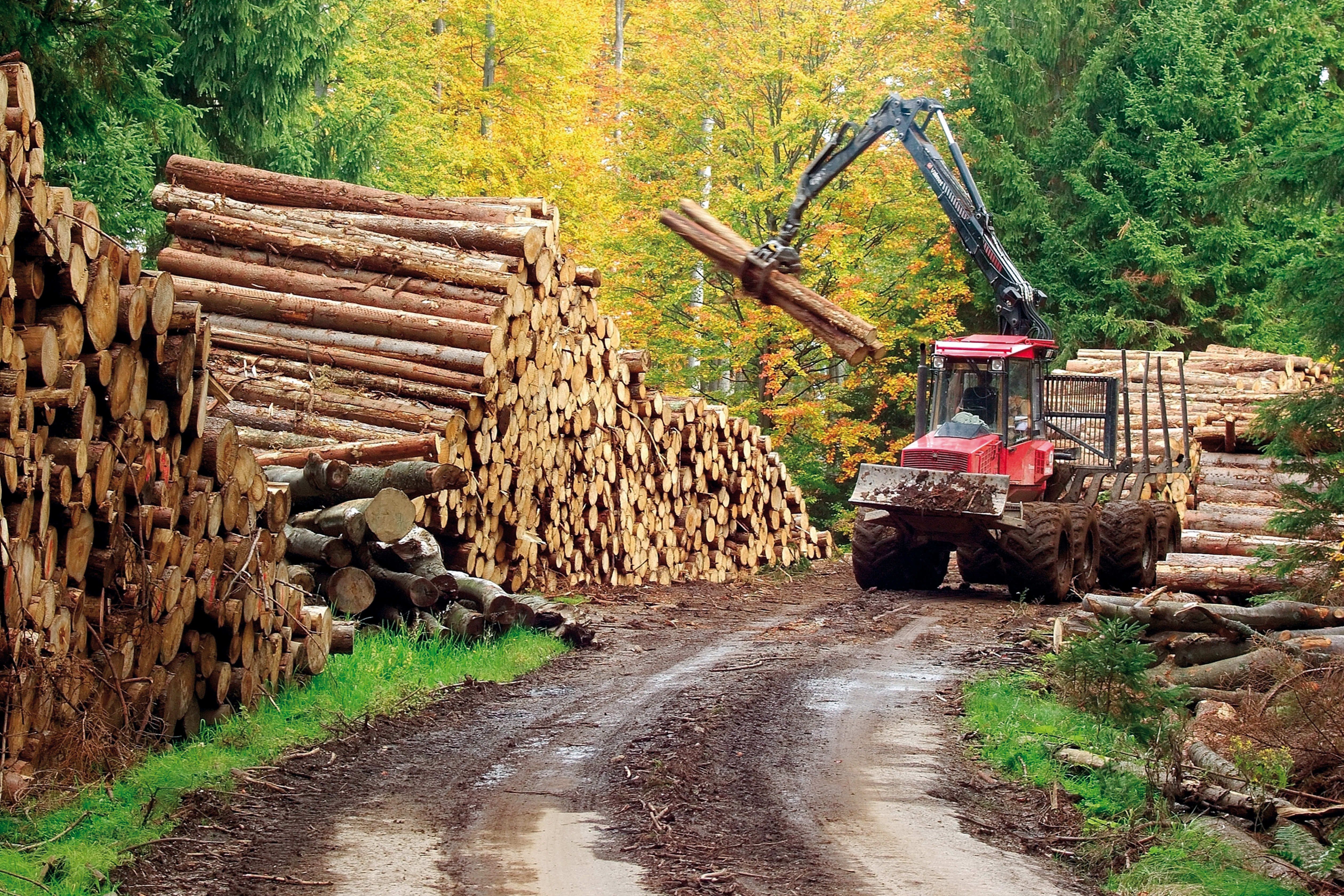 Лесная и деревообрабатывающая страны. Заготовка леса. Лесная промышленность. Лесная и деревообрабатывающая промышленность. Лесозаготовительная отрасль.