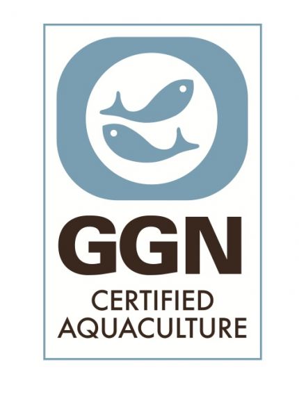 ggn-logo